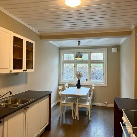 Downtown 3-bedroom Apartament *
