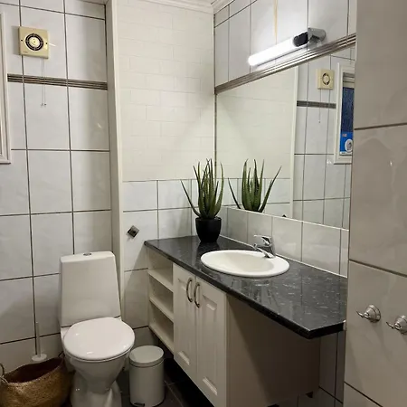 Downtown 3-bedroom *